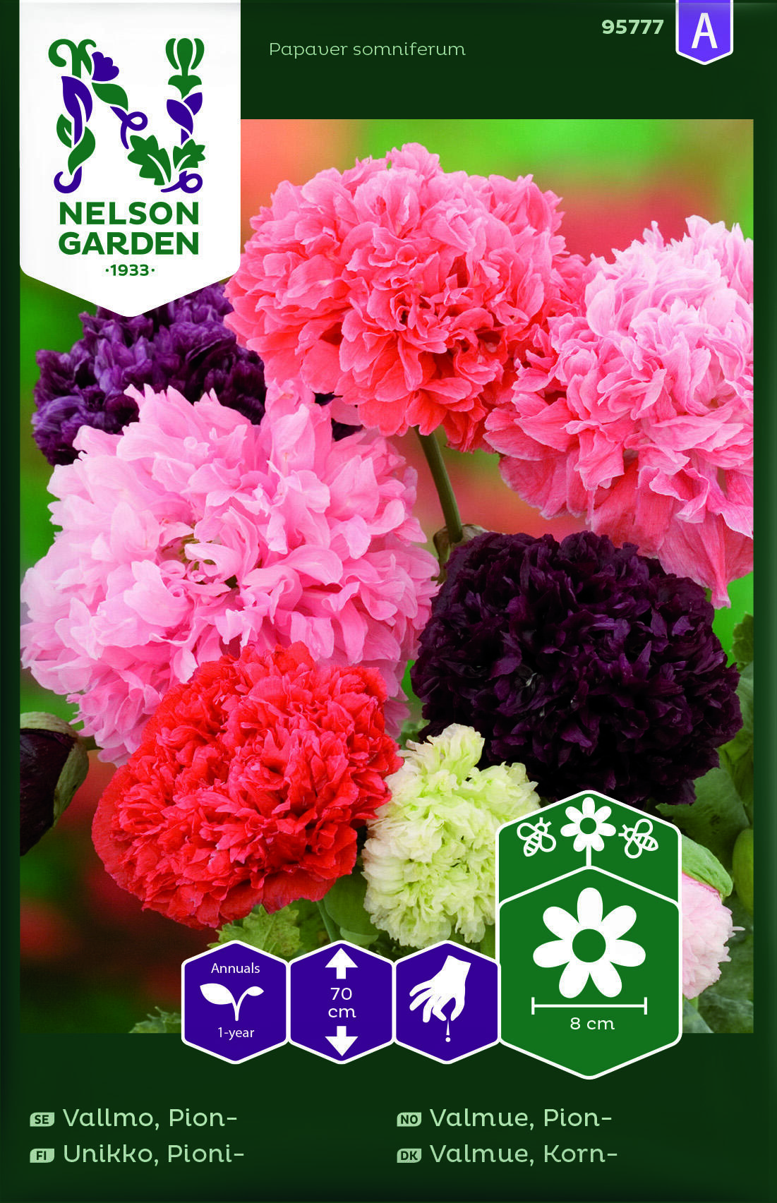 Valmue Pion Blandede Farger